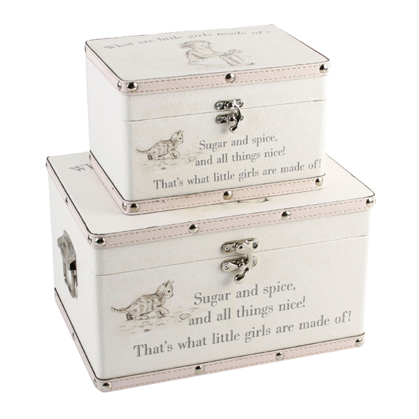 Little Girls Set of Two Luggage Boxes