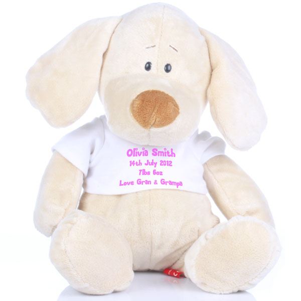 Personalised New Baby Soft Toy The Gift Experience