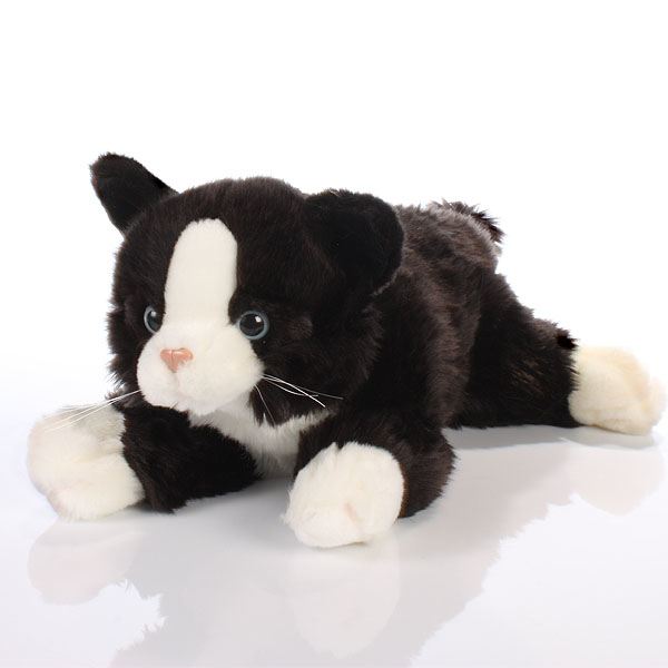 Black and White Cat The Gift Experience Black and White Cat The Gift Experience