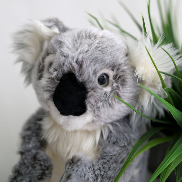 Koala Bear Soft Cuddly Toy The Gift Experience