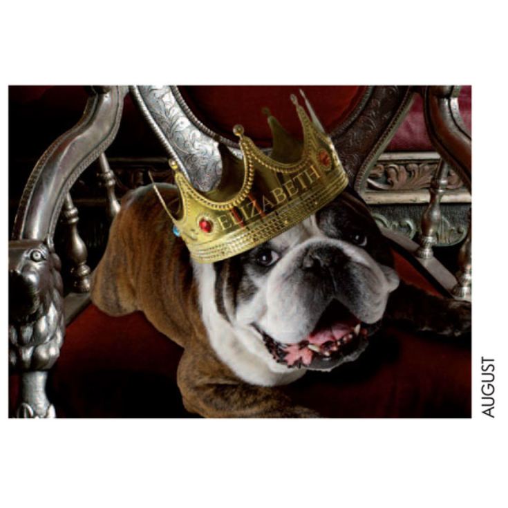 Personalised Dog Calendar product image