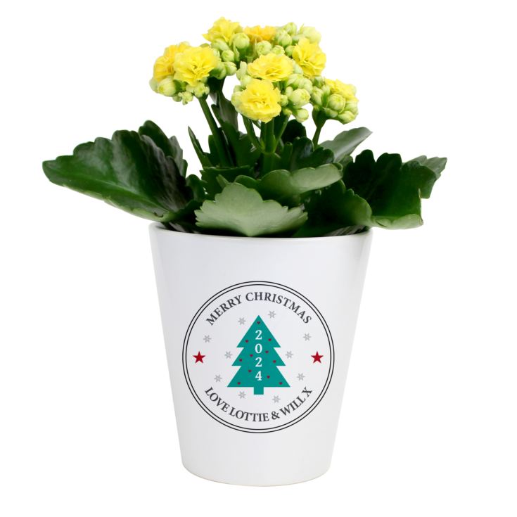 Personalised Christmas Tree Plant Pot product image