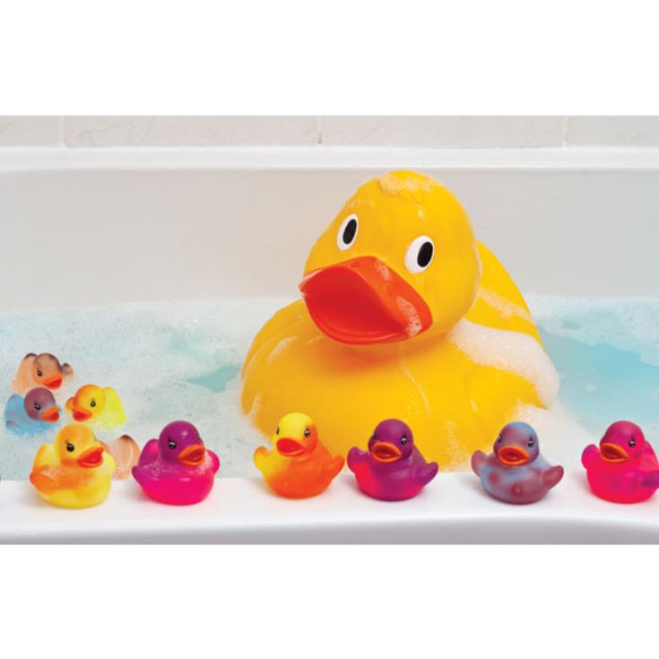 Giant Duck product image