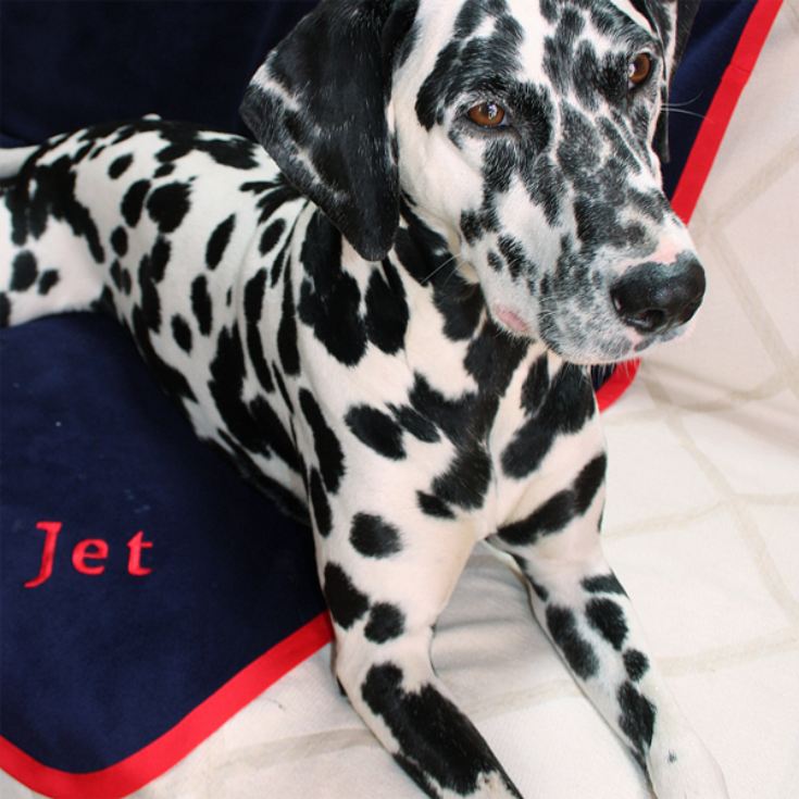 Large Personalised Pet Blanket product image
