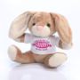 The Best Granny in the World Personalised Bunny Rabbit - 12.99 The Best Granny in the World Personalised Bunny Rabbit
