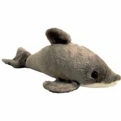 Freddy The Dolphin