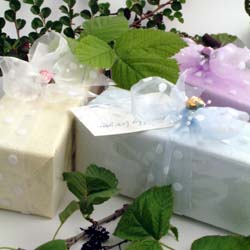 Pampering Collection - Especially for you Rose