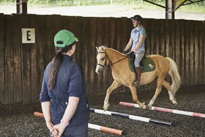 One Hour Horse Riding Experience - UK Wide