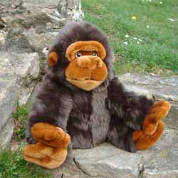 Cuddly Monkey