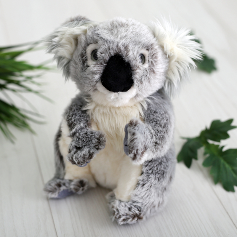 Koala Bear Soft Cuddly Toy The Gift Experience