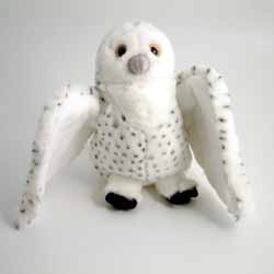 Snowy Owl With Open Wings
