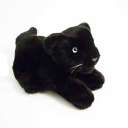 Panther Lying