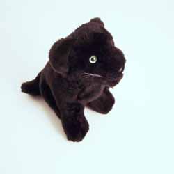 Panther Sitting