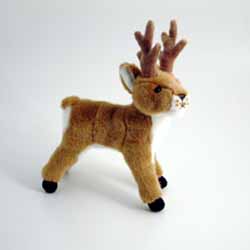 Reindeer