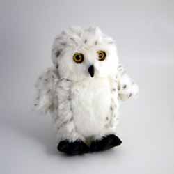 Snowy Owl