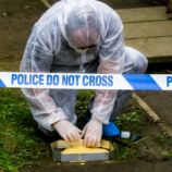 Ultimate CSI & Forensic Experience Day