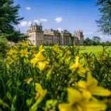 Entrance to Blenheim Palace & Three Course Lunch at Weston Manor for Two