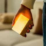 Gingko CuraCheese Night Lights