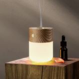 Gingko Smart Diffuser Lamps