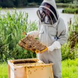 Hiver's Rural Beekeeping and Beer Tasting for Two