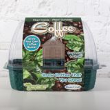Grow Your Own Coffee