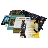 Adopt A Penguin