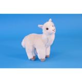 Alpaca