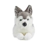 Husky Soft Toy