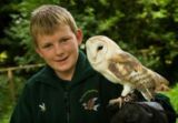 Junior Falconer Experience