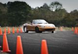 Bronze Drifting Experience