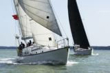 Ocean Race Yacht Experience