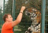 Big Cat Encounter