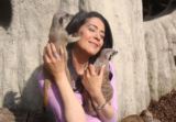 Meet the Meerkats Experience