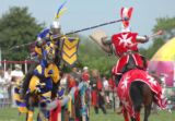 Jousting Experience