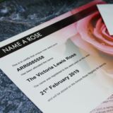 Name A Rose