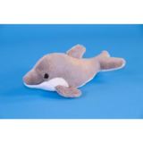 Freddy The Dolphin
