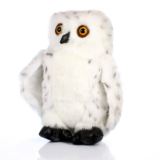 Snowy Owl