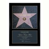 Personalised Star Of Fame