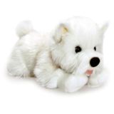 West Highland Terrier