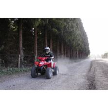 Quad Bike Thrill