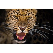 Big Cat Encounter (Weekdays)