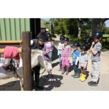 Cowboy Adventure for Kids