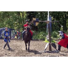 Jousting Experience