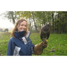 Bird of Prey Day UK Wide