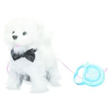 Walking Westie
