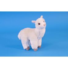 Alpaca