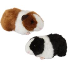 Squeaking Guinea Pig