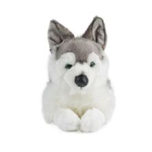 Husky Soft Toy
