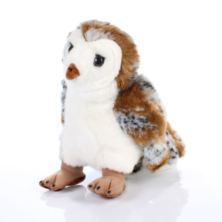 Barn Owl