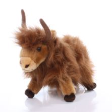 Highland Cow